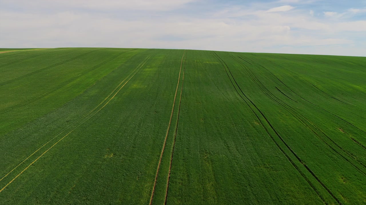 Aerial drone view of a vast green grain field cresting a gentle hill under a wide cloudy sky, Moravia, Czech Republic.