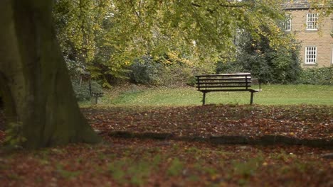 bench overlooks country house in relaxing autumn garden