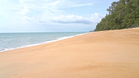 The-edge-of-a-jungle-butts-up-along-the-edge-of-a-tropical-sandy-beach