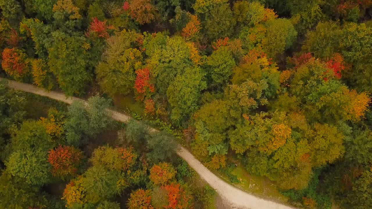 bosque en irán con coloridos árboles de hoja ancha y follaje verde, marrón, amarillo y rojo en tomas aéreas amplias