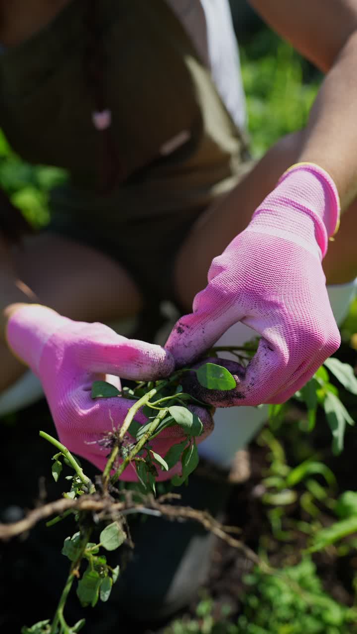 Mulher desmatando um jardim
