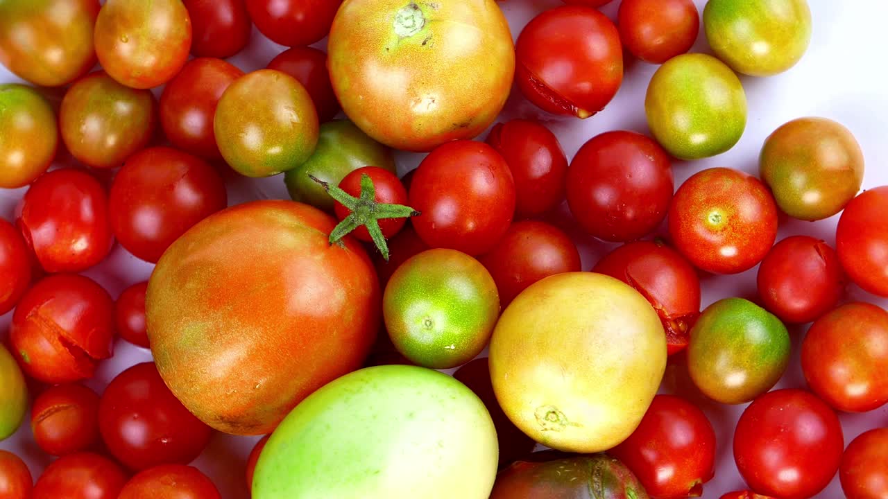 las verduras de tomate giran en un círculo. la cosecha de tomate. comida vegetal. comida vegetariana. cocina doméstica. agricultura. menú de platos. video.