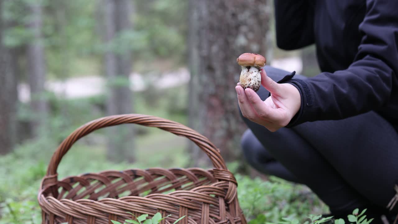 수집을 위해 바구니를 들고 숲길에 있는 여성