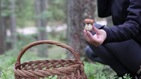 Hembra-En-El-Sendero-Del-Bosque-Sosteniendo-Una-Cesta-Para-Recoger