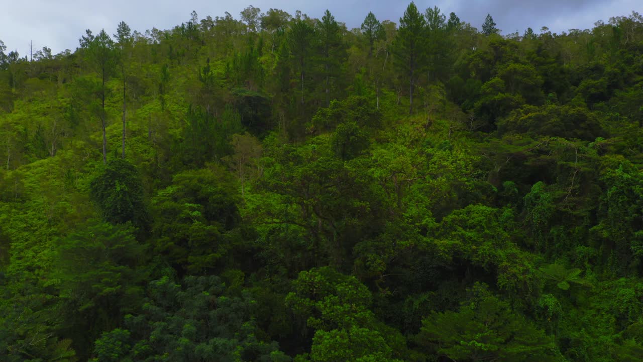 elevándose cada vez más por encima de la exuberante vegetación, el dron revela un impresionante paisaje montañoso