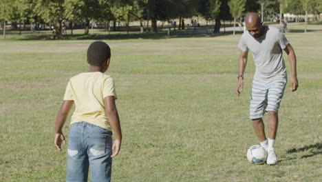 Padre-E-Hijo-Jugando-A-La-Pelota-En-El-Parque,-Pasando-Tiempo-Juntos