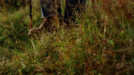 Closeup-tourist-shoes-going-mountains-on-hiking-trail.-Man-legs-trekking-nature.