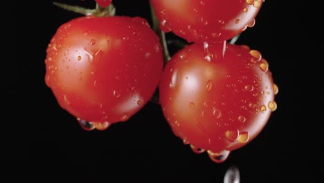 fresh cherry tomatoes with water droplets