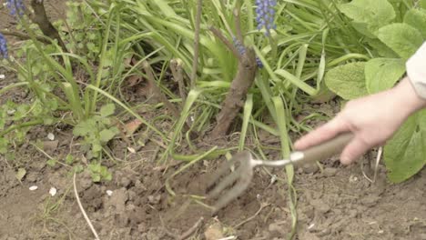 gardener turning soil with hand fork