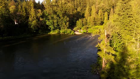 Aerial-scenic-shot-during-golden-hour-of-Snoqualmie-River-and-Evergreen-forest-in-Washington-State