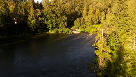 aerial scenic shot during golden hour of snoqualmie river and evergreen forest in washington state