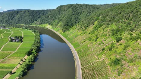 aerial view of the moselle river valley with vineyards and road