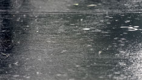 heavy rain pelting dark asphalt, creating ripples and splashes