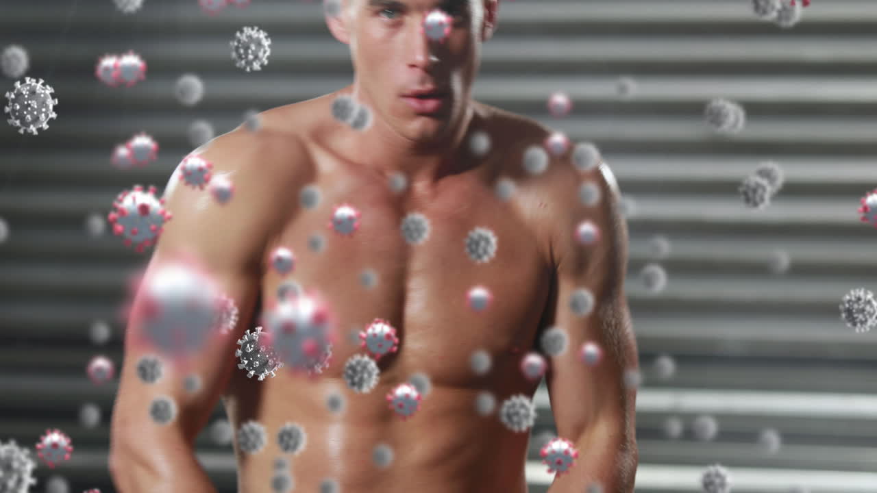 백인 남자 권투에 대한 바이러스 세포의 애니메이션