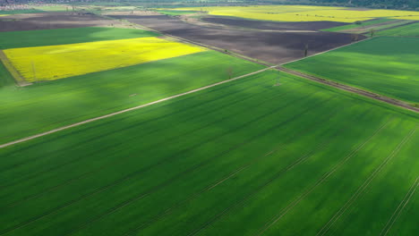 Volando-Sobre-Una-Tierra-Agrícola-En-Hungría