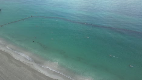 aerial orbiting shot of swimmer in protected area of ocean during sunny day - western australia in summer