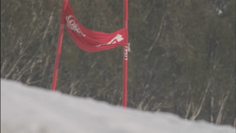 a skier runs into a sign the sign rights itself