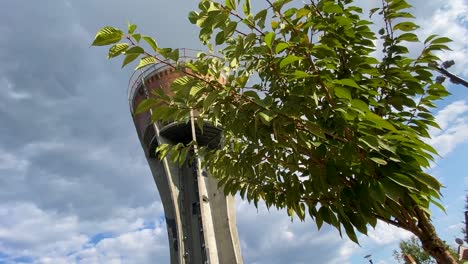 the vukovar water tower, revealed behind the trees, croatia