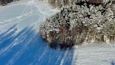 Vista-Aérea-De-Un-Claro-Del-Bosque-Nevado