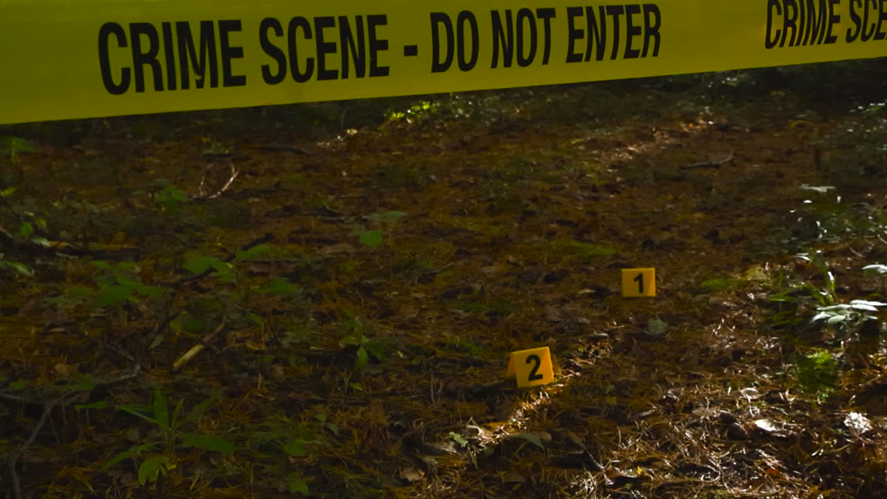 Yellow colored police line Crime Scene forensic investigation tape in front of a forest sunny area with yellow crime markers next to forensic evidence. The markers are numbered and tape is backlit