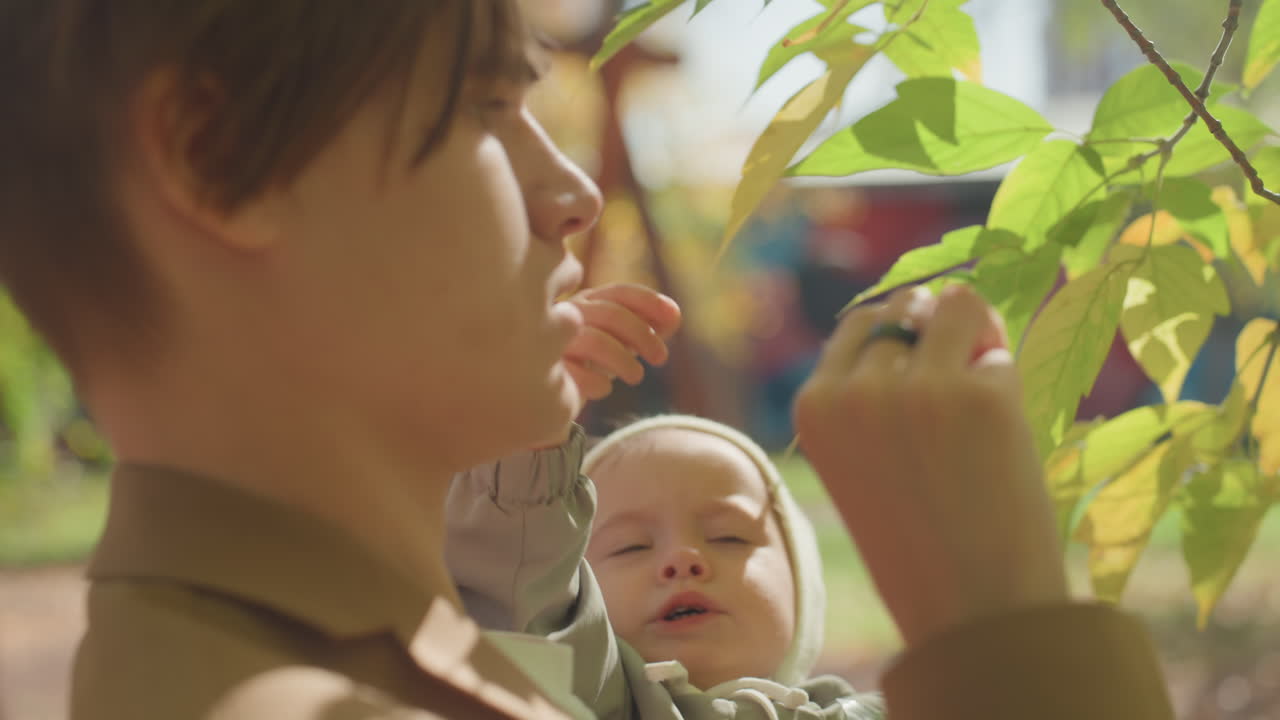 Vater hält Baby, das in einem sonnigen Park nach Blättern greift; Nahaufnahme der Interaktion, die neugierige Finger zeigt, die das Laub berühren, mit sanftem goldenen Licht und zärtlichem Blick; intime Familienentdeckung und spielerisches Lernen.