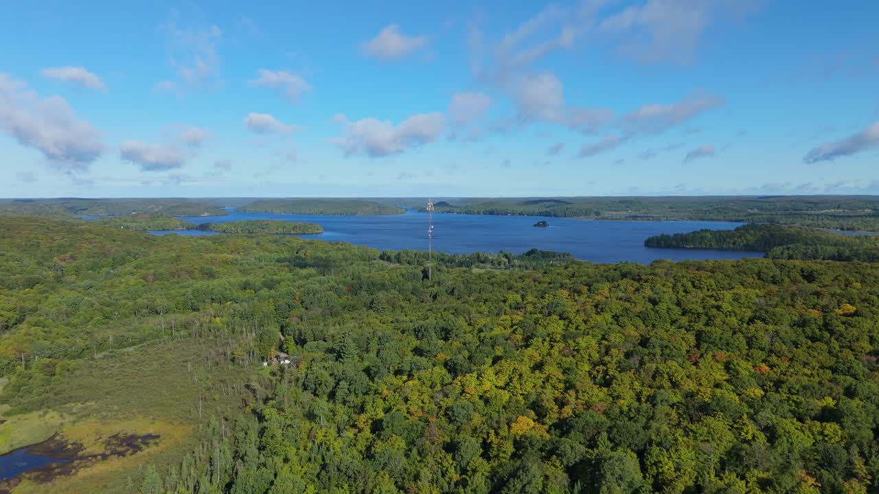 A stunning aerial shot of Lake Vernon in Muskoka, Ontario, during autumn. The footage captures the vast forest displaying fall colours and a prominent telecommunications tower