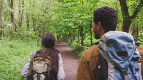 over the shoulder view of young couple hiking along path through trees in countryside - shot in slow motion