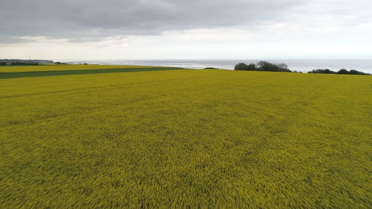 hermosa vista aérea de drones de cultivos de plantación con vistas a la playa aislada de omaha cerca de colleville sur mer, normandía, francia