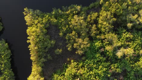 Sunset-wetlands-aerial