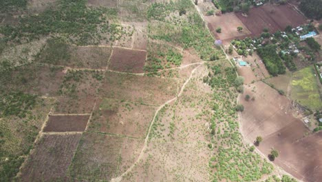 Top-down-view-of-forest,-woodland-aerial-shot