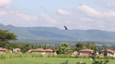 bird flies across a serene village backdrop.