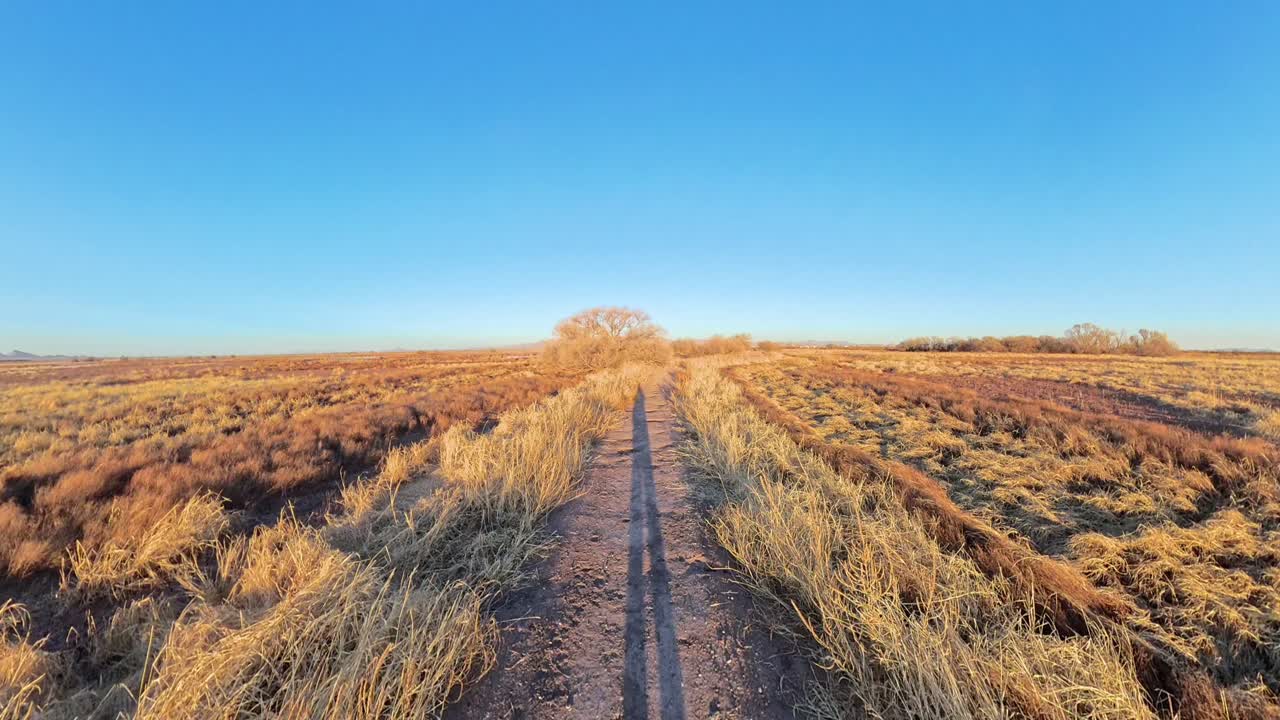 Long shadows at sunset walking down dirt path in Arizona grassland.