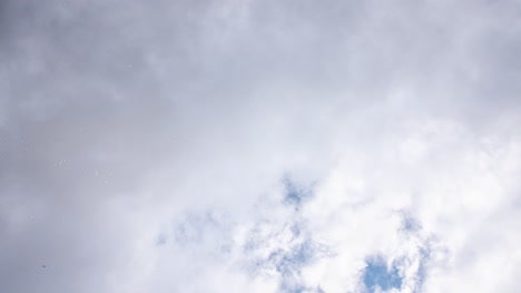 lapso de tiempo de fuerte viento formando una tormenta en un día nublado en 4k