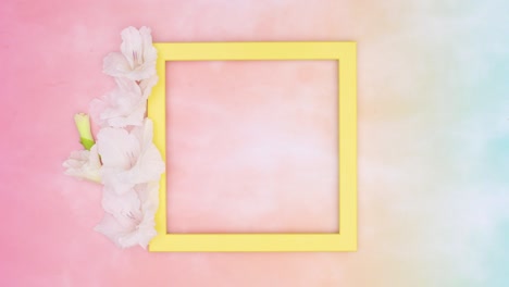 yellow photo frame for text with flowers on colorful theme. stop motion