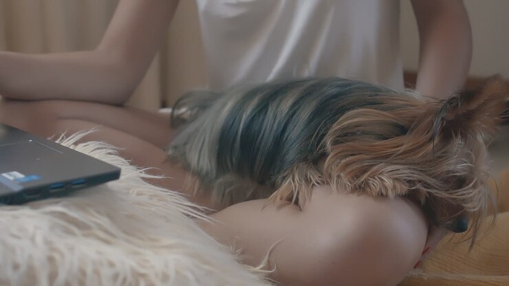 Female with her little dog and using a laptop at home