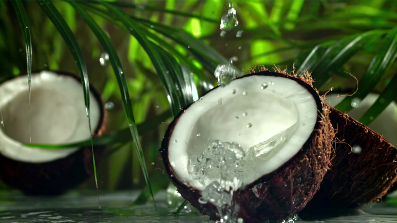 Refreshing Coconut Water Splashing in Slow Motion with Tropical Leaves