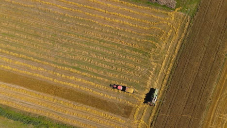 Maquinaria-De-Cosecha-Funcionando-En-Un-Soleado-Paisaje-De-Pradera-En-Puck,-Polonia