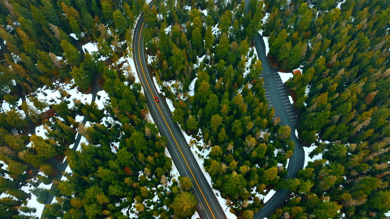 Mountain road in forest. Aerial view of forest in mountains.
