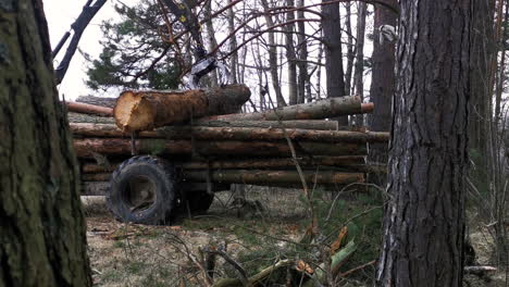 Cargar-Troncos-De-Pino-Grandes-En-El-Remolque-Del-Tractor-Con-La-Pinza