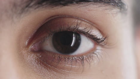 de cerca hermoso ojo masculino parpadeando mirando a la cámara la belleza del iris humano