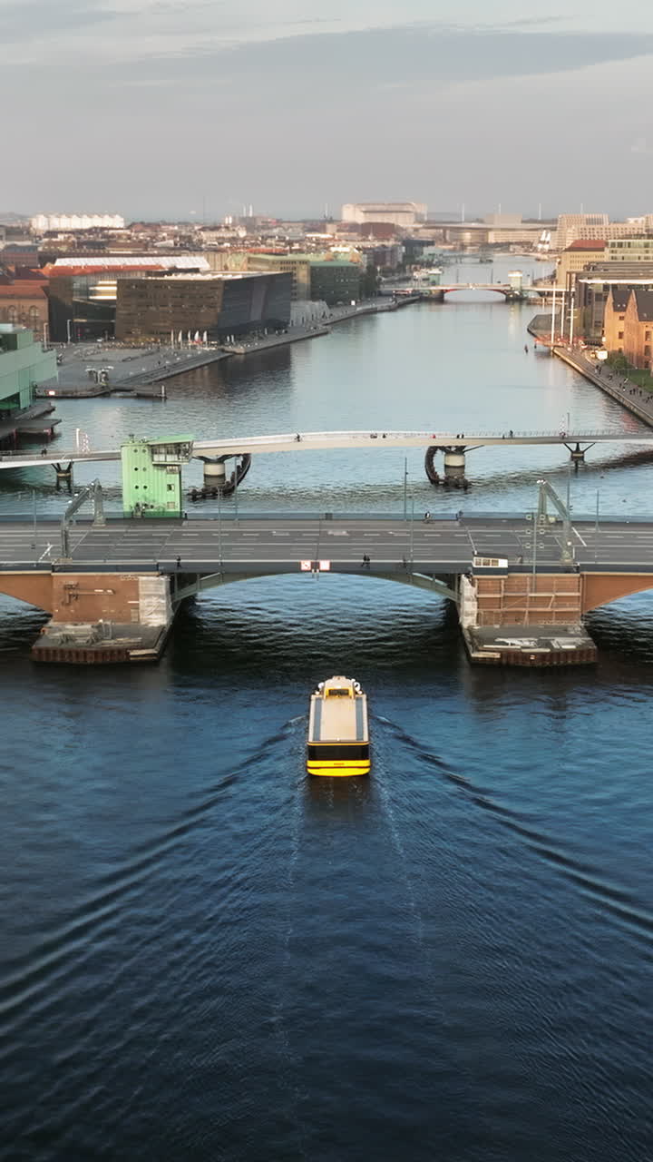 Aerial drone view of the Islands Brygge harbourfront area in central Copenhagen, Denmark at sunset. Vertical