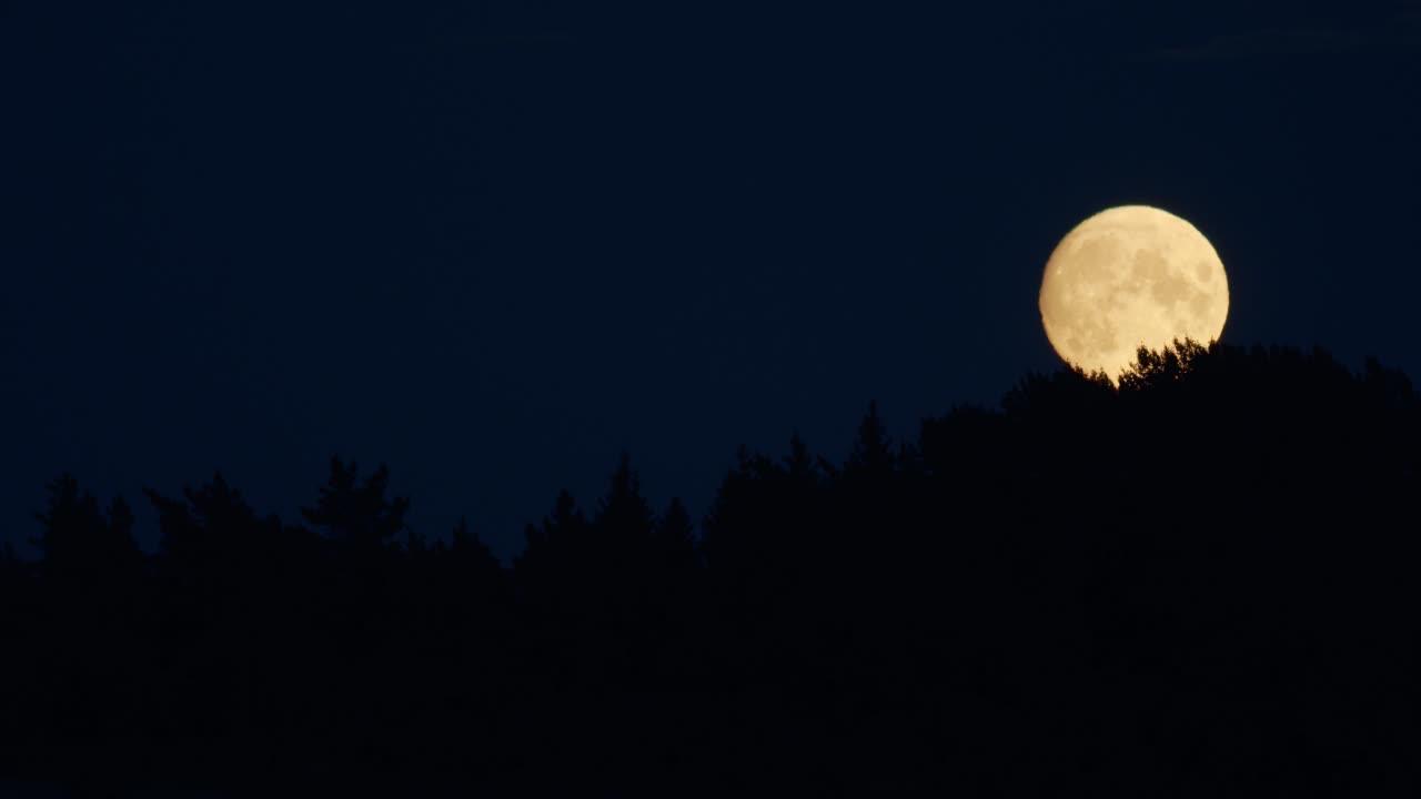 Time lapse della luna quasi piena gibbosa crescente che sorge sopra gli alberi.