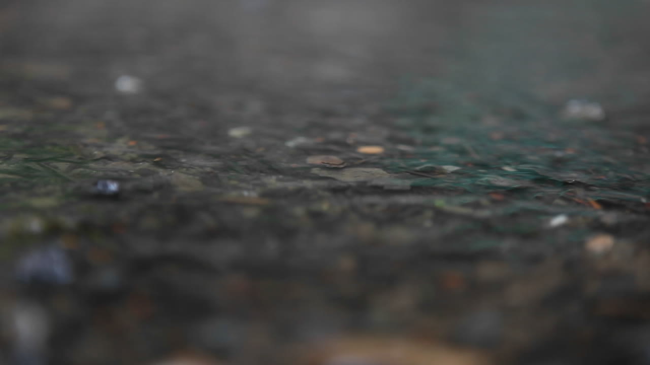 빗방울이 땅에 튀다