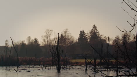 Pájaro-Cormorán-Sentado-En-Un-árbol-Sin-Salida-En-Un-Estanque-De-Invierno,-Cerca-De-Una-Antigua-Iglesia-Alemana-Iluminada-Por-La-Puesta-De-Sol