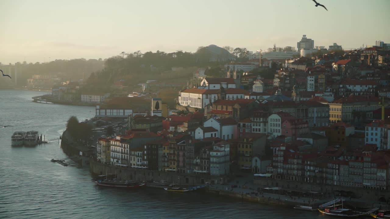 Inquadratura di ambientazione, uccelli che volano intorno, vista panoramica del fiume Douro e del centro storico di Porto in Portogallo, il sole tramonta sullo sfondo.