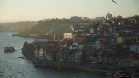 establishing shot, birds flying around, scenic view of the douro river and old town porto in portugal, sun sets in the background