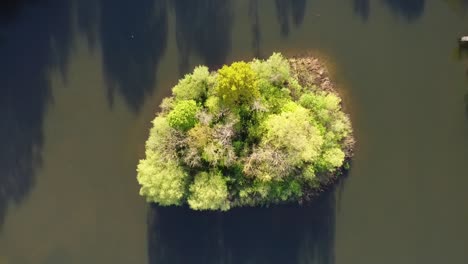 an island in the middle of the water, completely covered with trees