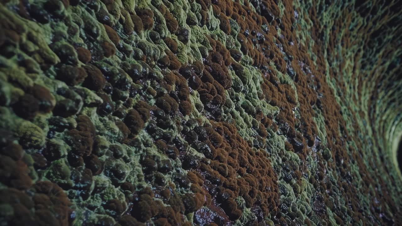 Textured surface of a natural formation transitions through intricate patterns, showcasing vibrant colors and depth in a continuous motion sequence