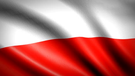 poland flag. seamless looping animation. 4k high definition video