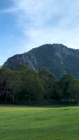 lush green landscape with mountain backdrop